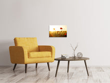 Laden Sie das Bild in den Galerie-Viewer, Leinwandbild Mohn im Sonnenuntergang