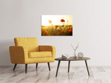 Laden Sie das Bild in den Galerie-Viewer, Leinwandbild Mohn im Sonnenuntergang