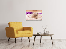 Laden Sie das Bild in den Galerie-Viewer, Leinwandbild Kitten zum Verlieben