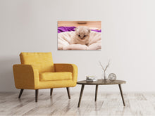 Laden Sie das Bild in den Galerie-Viewer, Leinwandbild Kitten zum Verlieben