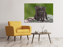 Laden Sie das Bild in den Galerie-Viewer, Leinwandbild 2 schwarze Katzenbabys