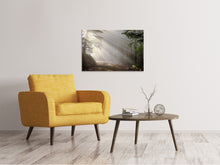 Laden Sie das Bild in den Galerie-Viewer, Leinwandbild Mystisches Licht im Wald