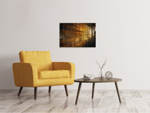 Laden Sie das Bild in den Galerie-Viewer, Leinwandbild Bäume in Sonnenstrahlen