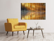 Laden Sie das Bild in den Galerie-Viewer, Leinwandbild Romantische Stimmung im Wald