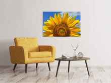 Laden Sie das Bild in den Galerie-Viewer, Leinwandbild Sonnenblume in XXL