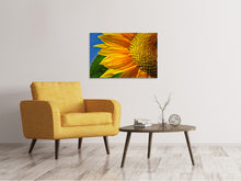 Laden Sie das Bild in den Galerie-Viewer, Leinwandbild Die Knospe Close up