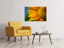 Laden Sie das Bild in den Galerie-Viewer, Leinwandbild Die Knospe Close up