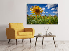 Laden Sie das Bild in den Galerie-Viewer, Leinwandbild Eine Sonnenblume unter vielen