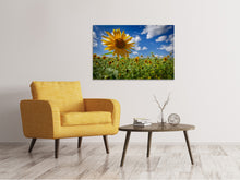 Laden Sie das Bild in den Galerie-Viewer, Leinwandbild Eine Sonnenblume unter vielen