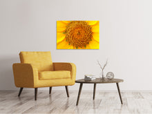 Laden Sie das Bild in den Galerie-Viewer, Leinwandbild Wunderschöne Knospen der Sonnenblume