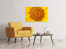 Laden Sie das Bild in den Galerie-Viewer, Leinwandbild Wunderschöne Knospen der Sonnenblume