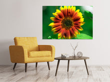 Laden Sie das Bild in den Galerie-Viewer, Leinwandbild Farbenprächtige Sonnenblume