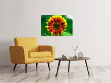 Laden Sie das Bild in den Galerie-Viewer, Leinwandbild Farbenprächtige Sonnenblume