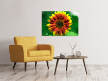 Laden Sie das Bild in den Galerie-Viewer, Leinwandbild Farbenprächtige Sonnenblume