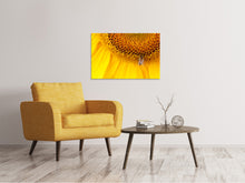 Laden Sie das Bild in den Galerie-Viewer, Leinwandbild Close up Gelbe Knospe