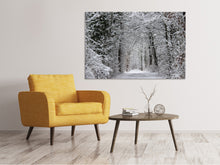 Laden Sie das Bild in den Galerie-Viewer, Leinwandbild Verzauberter Winterwald