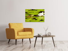 Laden Sie das Bild in den Galerie-Viewer, Leinwandbild Der Frosch und die Seerose