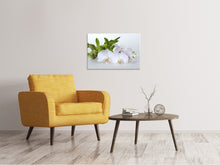 Laden Sie das Bild in den Galerie-Viewer, Leinwandbild Orchidee und Bambus