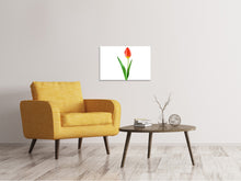 Laden Sie das Bild in den Galerie-Viewer, Leinwandbild Die stolze Tulpe