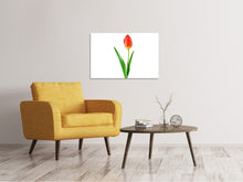 Laden Sie das Bild in den Galerie-Viewer, Leinwandbild Die stolze Tulpe