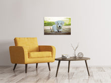 Laden Sie das Bild in den Galerie-Viewer, Leinwandbild Süsses Hunde Baby