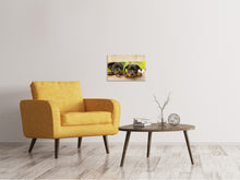 Laden Sie das Bild in den Galerie-Viewer, Leinwandbild 2 Rottweiler Welpen