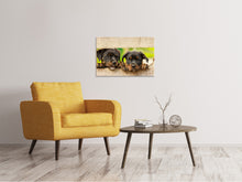 Laden Sie das Bild in den Galerie-Viewer, Leinwandbild 2 Rottweiler Welpen