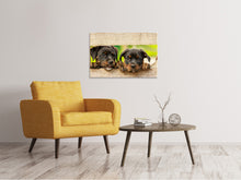 Laden Sie das Bild in den Galerie-Viewer, Leinwandbild 2 Rottweiler Welpen