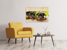 Laden Sie das Bild in den Galerie-Viewer, Leinwandbild 2 Rottweiler Welpen