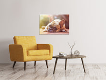 Laden Sie das Bild in den Galerie-Viewer, Leinwandbild Müde Bulldogge