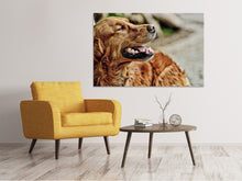 Laden Sie das Bild in den Galerie-Viewer, Leinwandbild Wachsamer Irish Setter