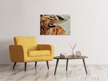 Laden Sie das Bild in den Galerie-Viewer, Leinwandbild Wachsamer Irish Setter