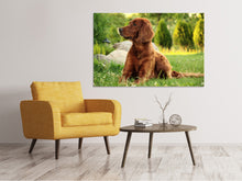 Laden Sie das Bild in den Galerie-Viewer, Leinwandbild Aufmerksamer Irish Setter