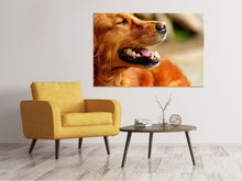 Laden Sie das Bild in den Galerie-Viewer, Leinwandbild Irish Setter Schnauze