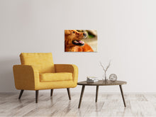 Laden Sie das Bild in den Galerie-Viewer, Leinwandbild Irish Setter Schnauze
