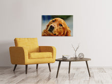 Laden Sie das Bild in den Galerie-Viewer, Leinwandbild Treuer Irish Setter