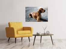 Laden Sie das Bild in den Galerie-Viewer, Leinwandbild Der Irish Setter