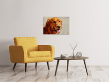 Laden Sie das Bild in den Galerie-Viewer, Leinwandbild Treue Seele