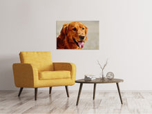 Laden Sie das Bild in den Galerie-Viewer, Leinwandbild Treue Seele