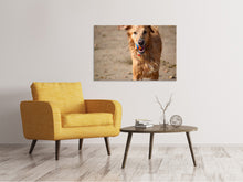 Laden Sie das Bild in den Galerie-Viewer, Leinwandbild Nasser Hund