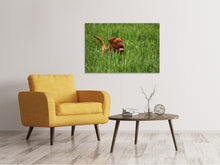 Laden Sie das Bild in den Galerie-Viewer, Leinwandbild Der Mastiff im Gras