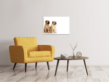 Laden Sie das Bild in den Galerie-Viewer, Leinwandbild 2 Mastiffs