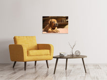 Laden Sie das Bild in den Galerie-Viewer, Leinwandbild Trauriger Hundeblick