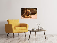 Laden Sie das Bild in den Galerie-Viewer, Leinwandbild Trauriger Hundeblick