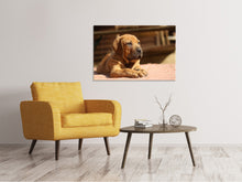 Laden Sie das Bild in den Galerie-Viewer, Leinwandbild Trauriger Hundeblick