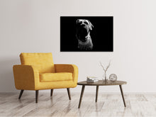 Laden Sie das Bild in den Galerie-Viewer, Leinwandbild Der Boerboel sw