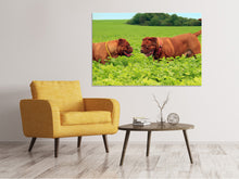 Laden Sie das Bild in den Galerie-Viewer, Leinwandbild 2 Schwergewichte