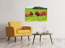 Laden Sie das Bild in den Galerie-Viewer, Leinwandbild 2 Schwergewichte