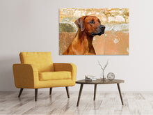 Laden Sie das Bild in den Galerie-Viewer, Leinwandbild Wachsamer Rhodesian Ridgeback
