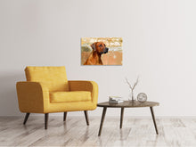 Laden Sie das Bild in den Galerie-Viewer, Leinwandbild Wachsamer Rhodesian Ridgeback